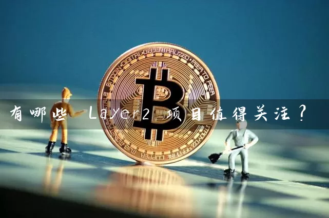 有哪些 Layer2 项目值得关注？