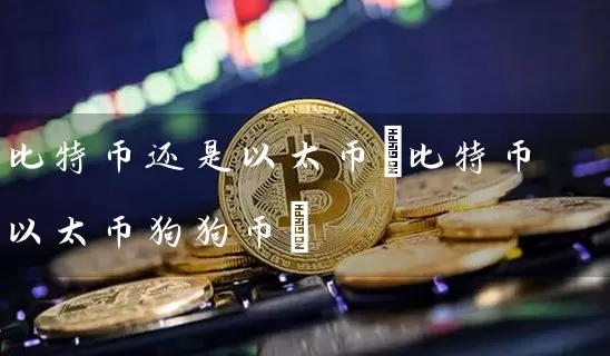 比特币还是以太币(比特币以太币狗狗币)