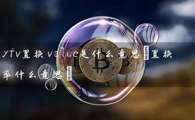yfv置换value是什么意思(置换率什么意思)