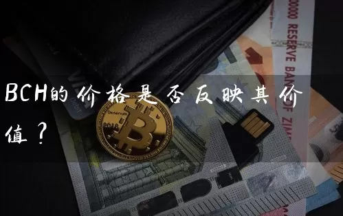 BCH的价格是否反映其价值？