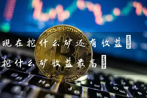 现在挖什么矿还有收益(挖什么矿收益最高)