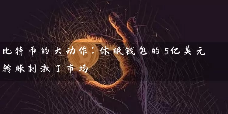 比特币的大动作：休眠钱包的5亿美元转账刺激了市场