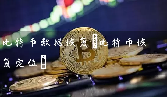 比特币数据恢复(比特币恢复定位)