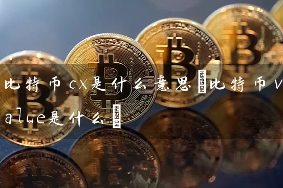 比特币cx是什么意思(比特币value是什么)