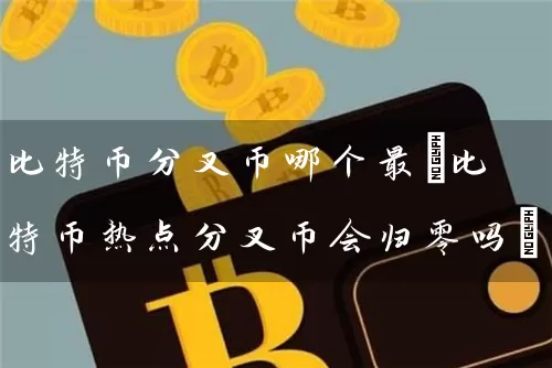 比特币分叉币哪个最(比特币热点分叉币会归零吗)