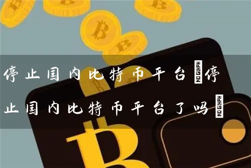 停止国内比特币平台(停止国内比特币平台了吗)