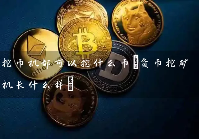挖币机都可以挖什么币(货币挖矿机长什么样)