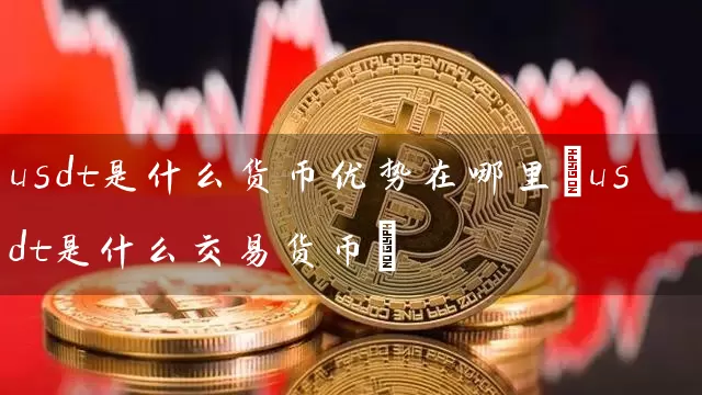 usdt是什么货币优势在哪里(usdt是什么交易货币)