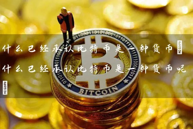 什么已经承认比特币是一种货币(什么已经承认比特币是一种货币呢)