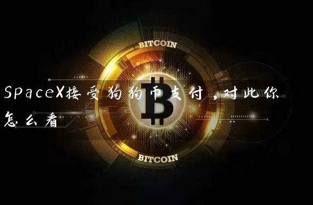 SpaceX接受狗狗币支付,对此你怎么看