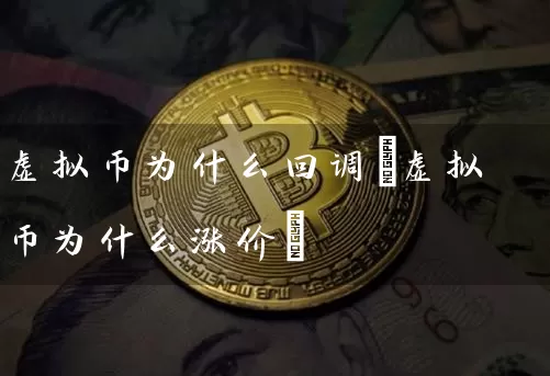 虚拟币为什么回调(虚拟币为什么涨价)