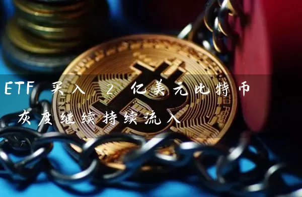 ETF 买入 2 亿美元比特币 灰度继续持续流入