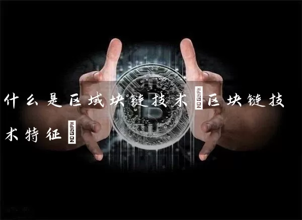 什么是区域块链技术(区块链技术特征)