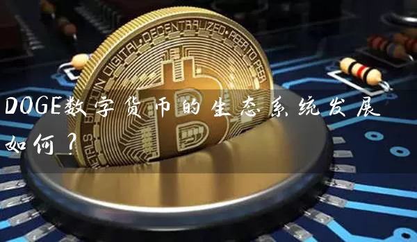 DOGE数字货币的生态系统发展如何？