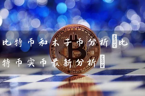比特币和木子币分析(比特币实币最新分析)