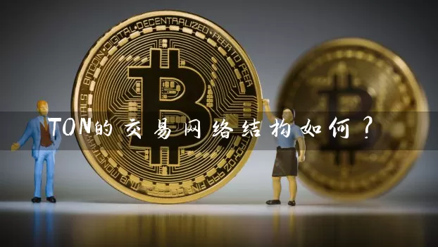 TON的交易网络结构如何？