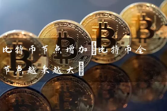 比特币节点增加(比特币全节点越来越大)
