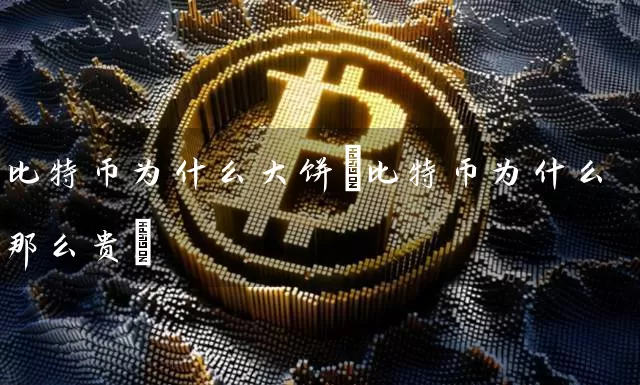 比特币为什么大饼(比特币为什么那么贵)