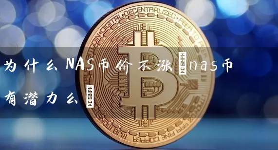 为什么NAS币价不涨(nas币有潜力么)