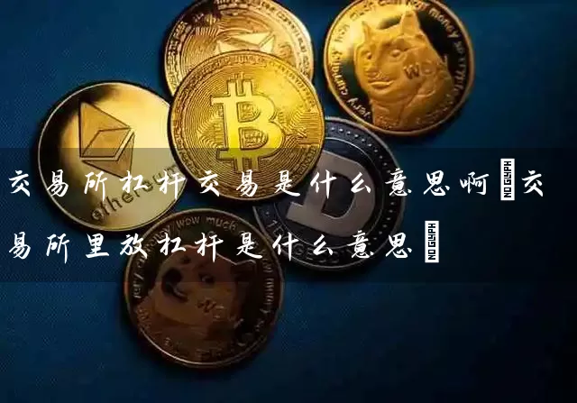 交易所杠杆交易是什么意思啊(交易所里放杠杆是什么意思)