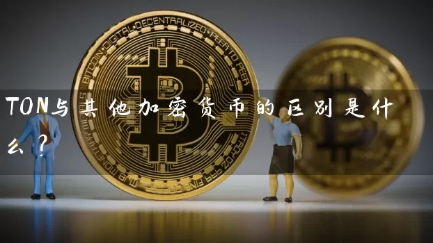 TON与其他加密货币的区别是什么？