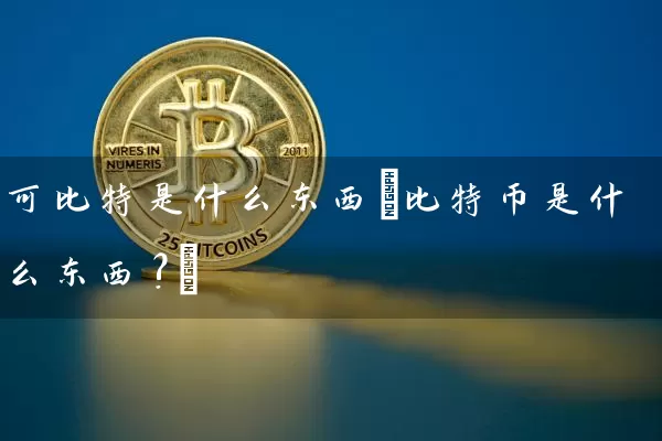可比特是什么东西(比特币是什么东西?)