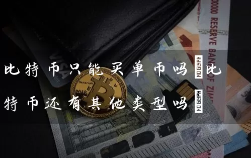 比特币只能买单币吗(比特币还有其他类型吗)