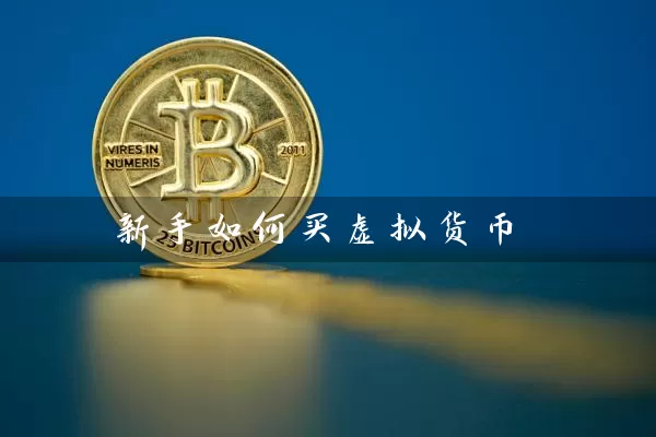 新手如何买虚拟货币