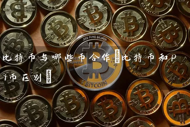 比特币与哪些币合作(比特币和pi币区别)