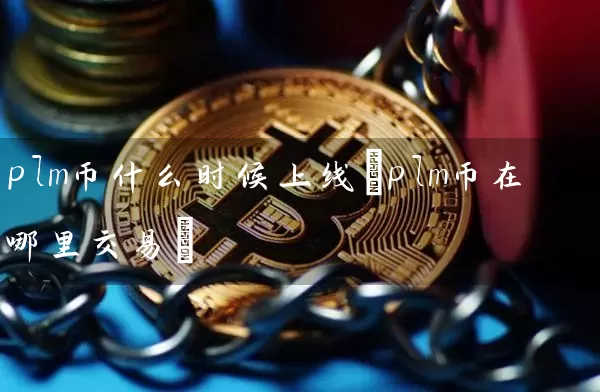 plm币什么时候上线(plm币在哪里交易)