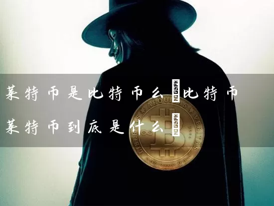 莱特币是比特币么(比特币莱特币到底是什么)