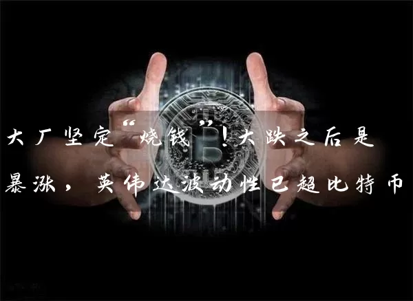 大厂坚定“烧钱”！大跌之后是暴涨，英伟达波动性已超比特币