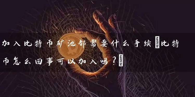 加入比特币矿池都需要什么手续(比特币怎么回事可以加入吗?)