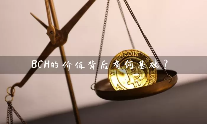 BCH的价值背后有何基础？