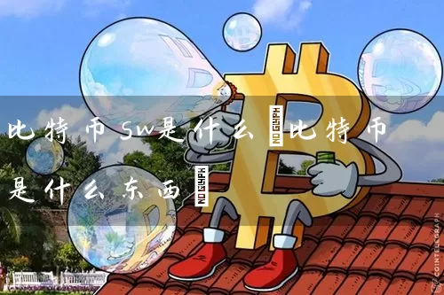 比特币sw是什么(比特币是什么东西)