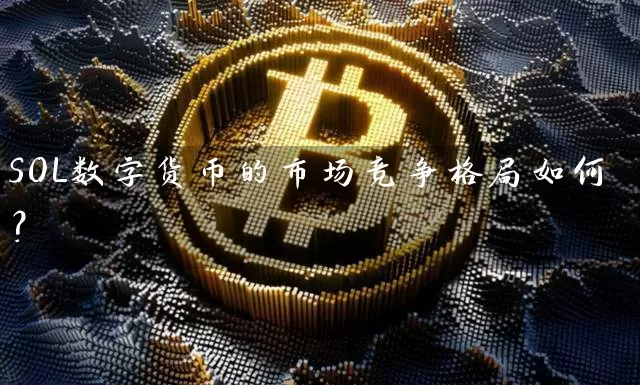 SOL数字货币的市场竞争格局如何？