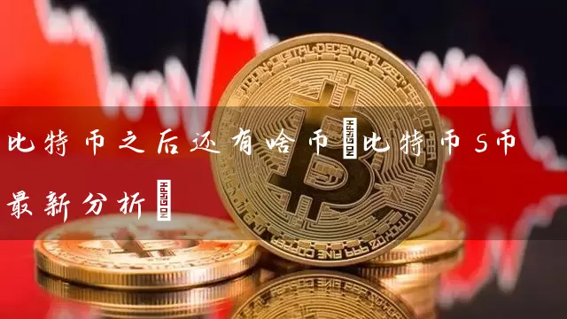比特币之后还有啥币(比特币s币最新分析)