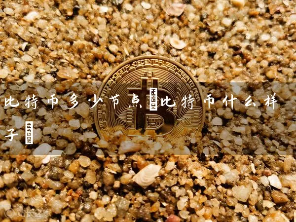 比特币多少节点(比特币什么样子)