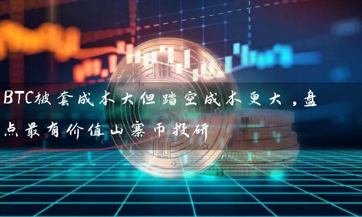 BTC被套成本大但踏空成本更大,盘点最有价值山寨币投研