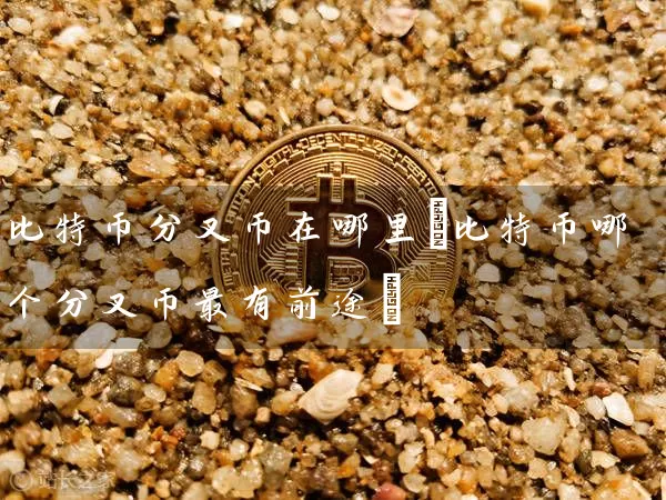 比特币分叉币在哪里(比特币哪个分叉币最有前途)
