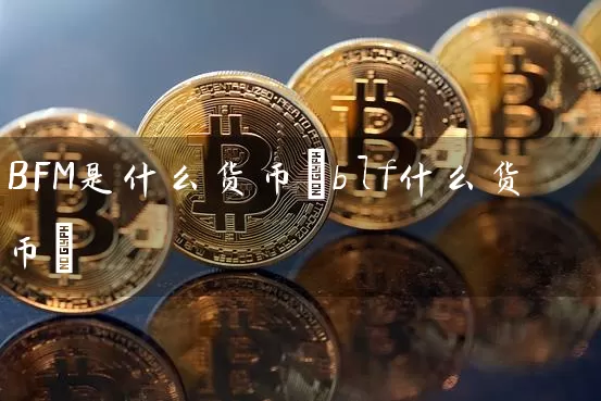 BFM是什么货币(blf什么货币)