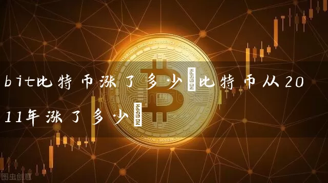 bit比特币涨了多少(比特币从2011年涨了多少)