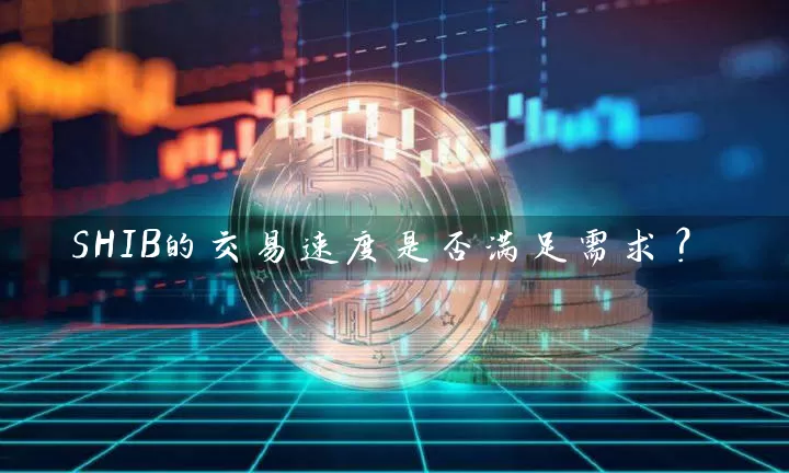 SHIB的交易速度是否满足需求？