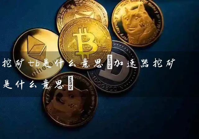 挖矿tb是什么意思(加速器挖矿是什么意思)