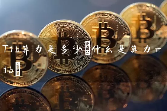 Tib算力是多少(什么是算力tib)