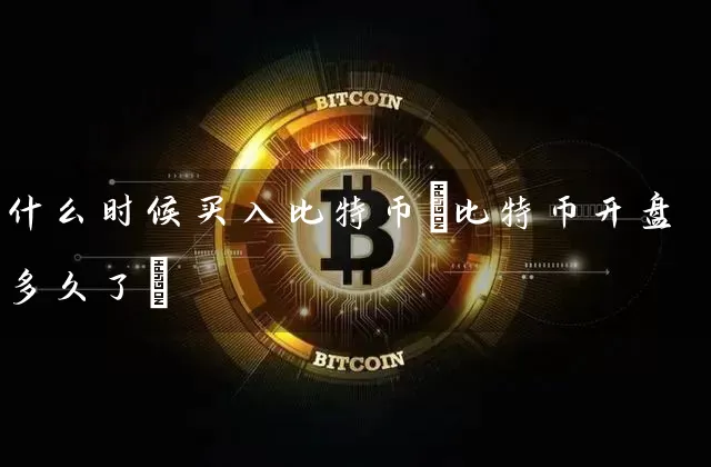 什么时候买入比特币(比特币多久了)