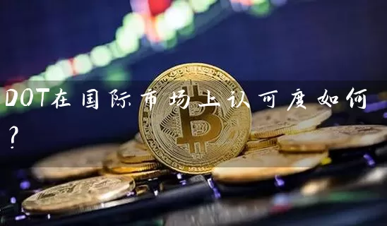 DOT在国际市场上认可度如何？