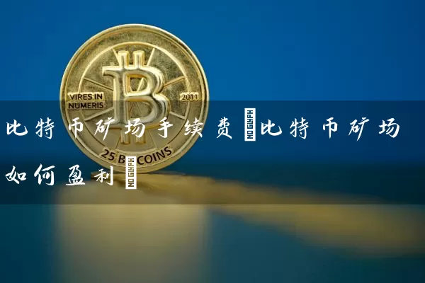 比特币矿场手续费(比特币矿场如何盈利)