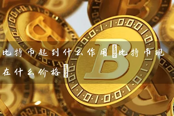 比特币起到什么作用(比特币现在什么价格)