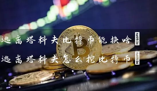 逃离塔科夫比特币能换啥(逃离塔科夫怎么挖比特币)